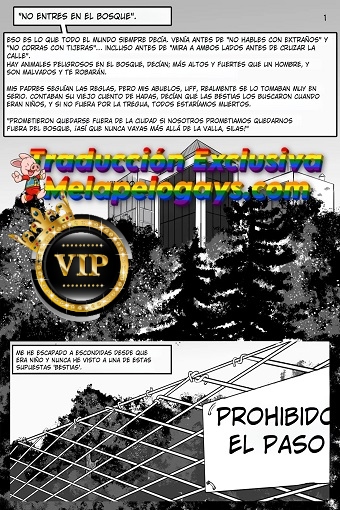 intothewoods_Page1 (1)