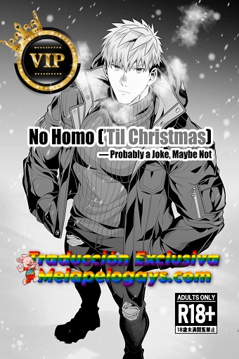 01_No_Homo_Til_Christmas_Probably_a_Joke_Maybe_Not_1_ENG (2)