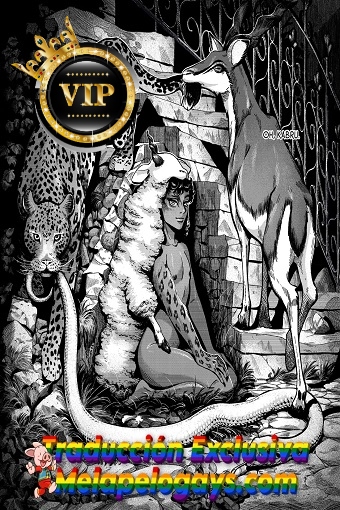 translated-20260304_163309_raccoon0ncaf_2029233695974949228_2