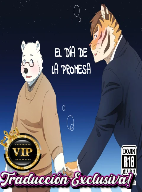 01_portadavip