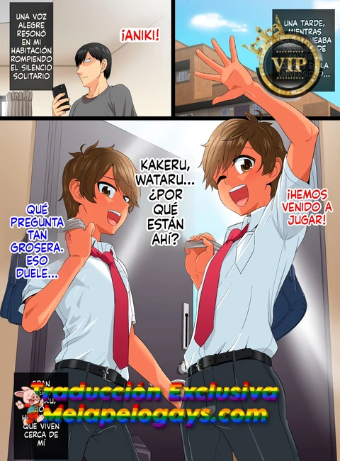 Futago_Shounen_Yaritai_Zakari_01_portadavip